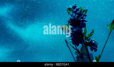 Künstlerische Komposition aus tiefblauen Blumen vor einem schimmernden strukturierten Hintergrund mit dramatischen Schatten und surrealer Beleuchtung. Stockfoto