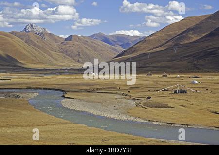 Tibetische Nomadenzelten mit Gebetsfahnen und Herde Yaks Weiden entlang Sichuan-Tibet Highway, Provinz Sichuan, China Stockfoto
