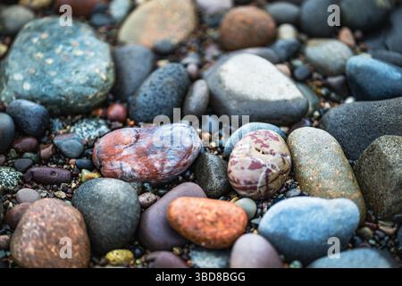 Detaillierte Ansicht der farbenfrohen Bay of Fundy Stones Stockfoto