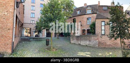Enge Kopfsteinpflasterallee, die sich zwischen historischen Backsteingebäuden schlängelt, grüne Bäume, die das traditionelle belgische Architekturerbe in Mechelen umrahmen Stockfoto