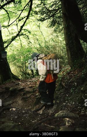 Junger Mann, der im Rucksack und Regenjacke durch dichten grünen Wald wandert und die Natur erkundet Stockfoto