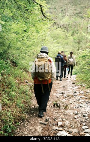 Junger Mann, der im Rucksack und Regenjacke durch dichten grünen Wald wandert und die Natur erkundet Stockfoto