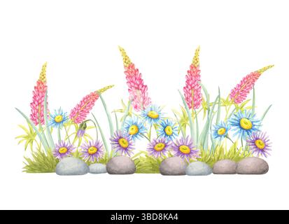 Rosafarbene Lupinen, blaue und lila Gänseblümchen und Gartensteine in Clipart-Komposition. Botanische helle Wildblumenillustration für Blumenköpfe, Border Art, handgemachte Karten und Hochzeitsdesigns Stockfoto