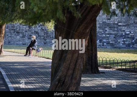 Ein älterer Mann in einer Maske sitzt allein unter Bäumen an einer stillen Steinmauer Stockfoto