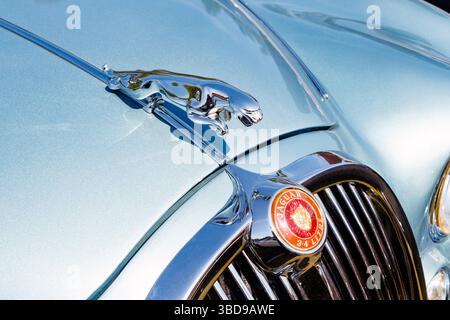 Nahaufnahme einer jaguar Motorhaube im Vintage-Stil mit Chrom-Maskottchen oder Motorhaubenemblem auf blauer Metallic-Lackierung Stockfoto