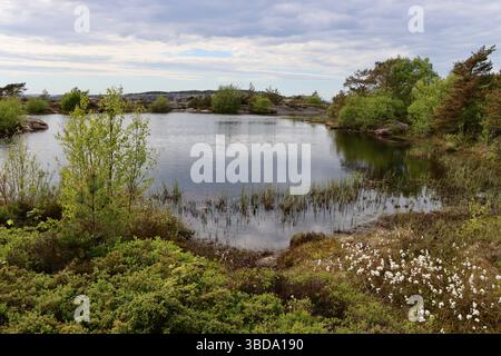 Kleiner Teich auf dem Berg Vetteberget über dem Dorf Fjällbacka und dem Hafen an der Westküste Schwedens, Mai 2025 Stockfoto