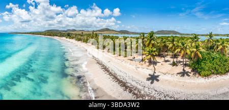 Salines Beach Panorama in Sainte-Anne, Martinique, Frankreich Stockfoto