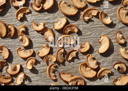 Getrocknete Apfelscheiben auf rustikaler Oberfläche. Natürlicher Snack aus Obst. Bio gesunde Lebensmittel. Blick von oben bei Tageslicht. Hausgemachte, konservierte Äpfel. Stockfoto