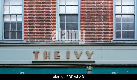 Die Ivy Chichester Brasserie liegt an der belebten East Street. Stockfoto