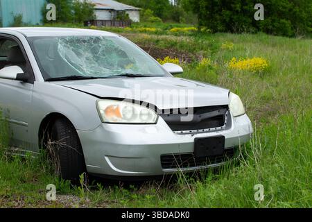 Beschädigtes Auto mit zersplittertem Glas, das auf hohem Gras geparkt ist. Verlassenes silbernes Auto mit gebrochener Windschutzscheibe und Frontbeschädigung. Stockfoto