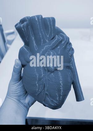 Prototyp des menschlichen Herzens, gedruckt auf einem 3D-Drucker aus blauem Kunststoff auf menschlicher Hand. Neue moderne Additive 3D-Druck-Medizintechnik Stockfoto
