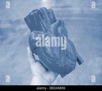 Prototyp des menschlichen Herzens, gedruckt auf einem 3D-Drucker aus blauem Kunststoff auf menschlicher Hand. Neue moderne Additive 3D-Druck-Medizintechnik Stockfoto