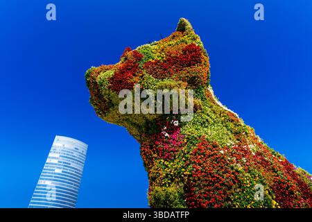 Hündchen von Jeff Koons vor dem Guggenheim Museum. Bilbao, Biskaya, Baskenland, Spanien, Europa Stockfoto