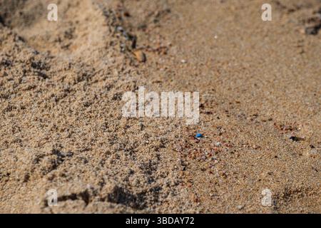 Mikroplastik an einem wunderschönen Sandstrand der Gallura Region im Norden Sardiniens, Italien Stockfoto