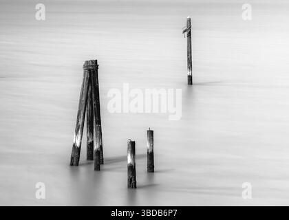 Alte Holzpfähle tauchen aus dem Wasser in einer ruhigen, nebeligen Landschaft auf und schaffen ein Gefühl der Ruhe und Einsamkeit. Die Schwarz- und Weißtöne betonen den Stockfoto