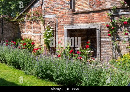 Hübsches Ferienhaus und Garten mit roten Rosen und anderen Blumen im Mai, Alresford, Hampshire, England, Großbritannien Stockfoto