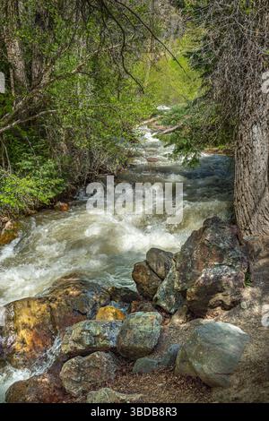 Felsiger Bergbach, Big Cottonwood, Utah, USA Stockfoto