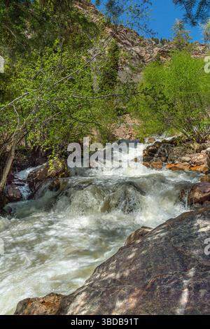 Felsiger Bergbach, Big Cottonwood, Utah, USA Stockfoto