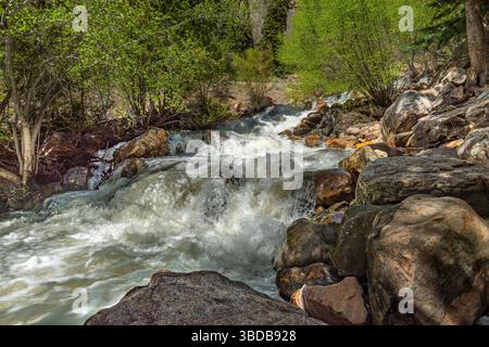 Felsiger Bergbach, Big Cottonwood, Utah, USA Stockfoto