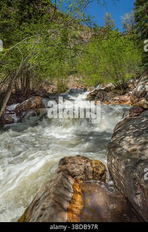 Felsiger Bergbach, Big Cottonwood, Utah, USA Stockfoto