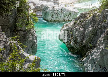 Der türkisfarbene Fluss Soca fließt durch weiße Felsen und grüne Vegetation in Slowenien, Europa Stockfoto