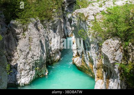Der türkisfarbene Fluss Soca fließt durch die felsige große soca-Schlucht im Nationalpark triglav in slowenien Stockfoto