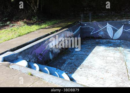 Bilder von einem verlassenen Pool, leerem Pool mit Zeichnungen und Gemälden darauf Stockfoto