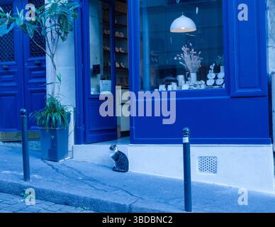 Die lebende Tabby-Katze bewacht den Eingang zu einer Keramikwerkstatt im 18. Bezirk in Paris, Frankreich. Stockfoto