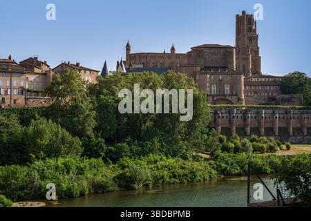 Die Kathedrale von Sainte Cecile und der Palast von Berbie erheben sich über üppige Baumkronen in Albi Frankreich und bilden eine beeindruckende historische Skyline Stockfoto
