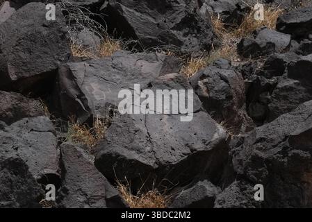 23. Mai 2025, Albuquerque, New Mexico, USA: Szenen der Petroglyphen im Rinconada Canyon, Petroglyph National Monument am 23. Mai 2025 in Albuquerque, New Mexico. Es wird geschätzt, dass 90 % der Petroglyphen des Denkmals von den Vorfahren der heutigen Pueblo geschaffen wurden. Puebloans lebten bereits vor 500 n. Chr. im Rio Grande Valley, aber eine Bevölkerungszunahme um 1300 n. Chr. führte zu zahlreichen neuen Siedlungen. Man nimmt an, dass die meisten Petroglyphen von etwa 1300 bis Ende der 1680er Jahre gemeißelt wurden (Kreditbild: © Bryan Smith/ZUMA Press Wire) NUR REDAKTIONELLE VERWENDUNG! Nicht für Komm Stockfoto