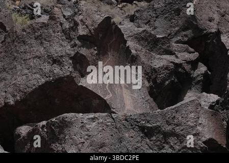 23. Mai 2025, Albuquerque, New Mexico, USA: Szenen der Petroglyphen im Rinconada Canyon, Petroglyph National Monument am 23. Mai 2025 in Albuquerque, New Mexico. Es wird geschätzt, dass 90 % der Petroglyphen des Denkmals von den Vorfahren der heutigen Pueblo geschaffen wurden. Puebloans lebten bereits vor 500 n. Chr. im Rio Grande Valley, aber eine Bevölkerungszunahme um 1300 n. Chr. führte zu zahlreichen neuen Siedlungen. Man nimmt an, dass die meisten Petroglyphen von etwa 1300 bis Ende der 1680er Jahre gemeißelt wurden (Kreditbild: © Bryan Smith/ZUMA Press Wire) NUR REDAKTIONELLE VERWENDUNG! Nicht für Komm Stockfoto