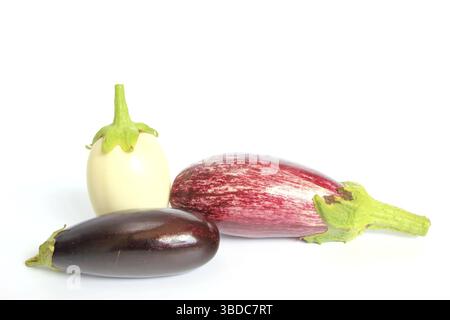 Drei verschiedene Arten von Auberginen (Solanum melongena) drei verschiedene Arten von Auberginen (Solanum melongena) Stockfoto
