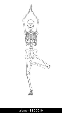 Menschliches Skelett in Yogaposition über weißem Hintergrund Stockfoto