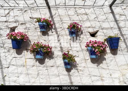 Pflanzen an Wänden von Wohnhäusern in Mijas, Malaga, Spanien Stockfoto