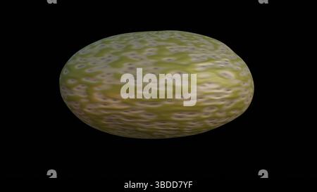 Cryptobiose. Anhydrobiose. Organismus austrocknet in ruhenden Zustand. Das Saatgut trocknet in den Ruhestand. 3D-Rendering-Abbildung Stockfoto