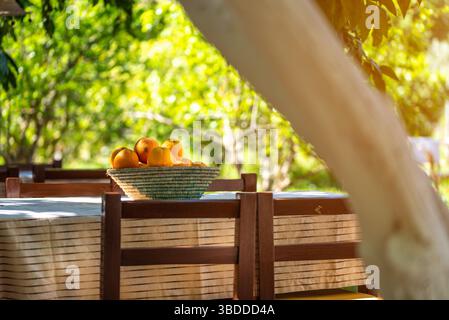 Korb gefüllt mit frischen Orangen auf einem Gartentisch im Freien Stockfoto