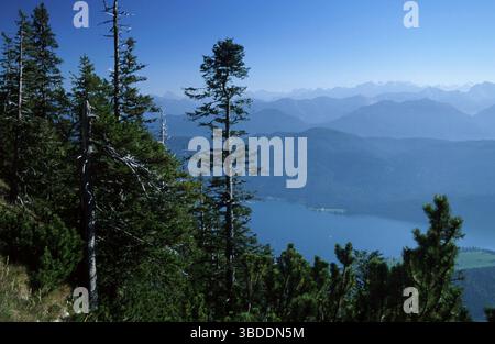 Blick auf den Walchsee vom Berg Herzogstand, Blick auf den Walchsee vom Berg Herzogstand, Bayerische Alpen, Bayern, Deutschland Stockfoto