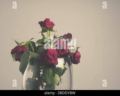 Verwelkter Blumenstrauß aus roten Rosen in einer Glasvase mit Platz für Text Stockfoto