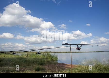 Drei Angelruten werden am Wasser eines Sees oder Damms zwischen grünem Gras und vor blauem Himmel und weißen Wolken aufgestellt Stockfoto
