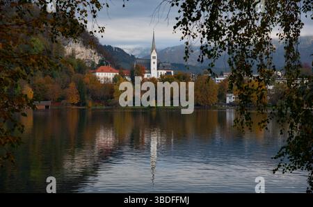 Malerischer Blick auf den See bled mit St.. Martins Pfarrkirche und farbenfrohes Herbstlaub in Bled, slowenien Stockfoto