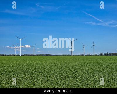 Eine Reihe von Windturbinen steht hoch am Horizont über einem üppig grünen Feld vor einem leuchtend blauen Himmel mit Wolkenstreifen Stockfoto