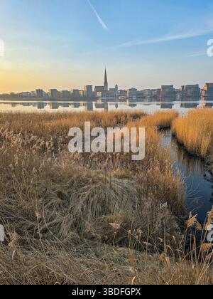 Blick auf die Skyline der Stadt Rostock, die sich während des Sonnenuntergangs im ruhigen Wasser spiegelt. Goldene Schilfe im Vordergrund umrahmen die Szene, während der Himmel weich erscheint Stockfoto