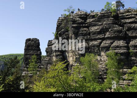Am Prebischtor im Elbsandsteingebirge der Böhmischen Schweiz. Elbsandsteingebirge, Tschechische Republik Stockfoto