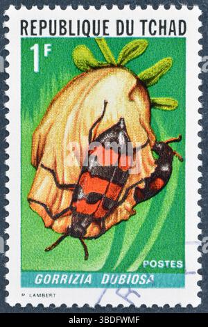 Gestempelte Briefmarke, gedruckt von Tschad, die Marienkäfer zeigt, um 1972. Stockfoto