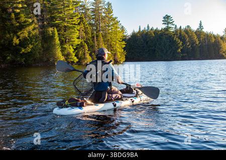 Ein Angler fischt mit einem Stand Up Paddleboard (SUP) in einem See im Algonquin National; Park, Onario, Kanada Stockfoto
