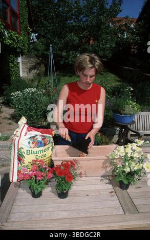 Frau, die Fensterkasten pflanzt, Frau, die Blumenkasten pflanzt, Bayern, Deutschland Stockfoto