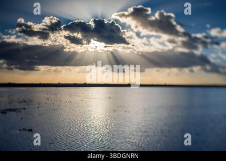 Der goldene Sonnenuntergang wirft Sonnenstrahlen über die ruhigen Reisfelder in Isla Mayor, Sevilla, und unterstreicht die ruhige Schönheit der andalusischen Landschaft. Stockfoto