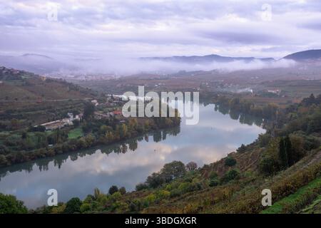 Ruhige Landschaft des Flusses Douro, der sich durch üppige Weinberge in der Nähe von Lamego im Norden Portugals schlängelt. Stockfoto