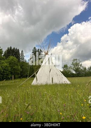 Tipi ist auf einem Grasfeld Stockfoto