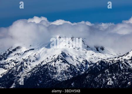 Die zerklüfteten Olympic Mountains aus der Hurricane Ridge, Olympic National Park, Washington State, USA Stockfoto
